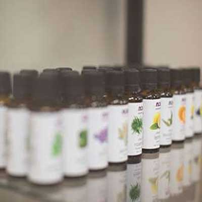 Wellness Center Palatine, IL | Lotus Wellness Center